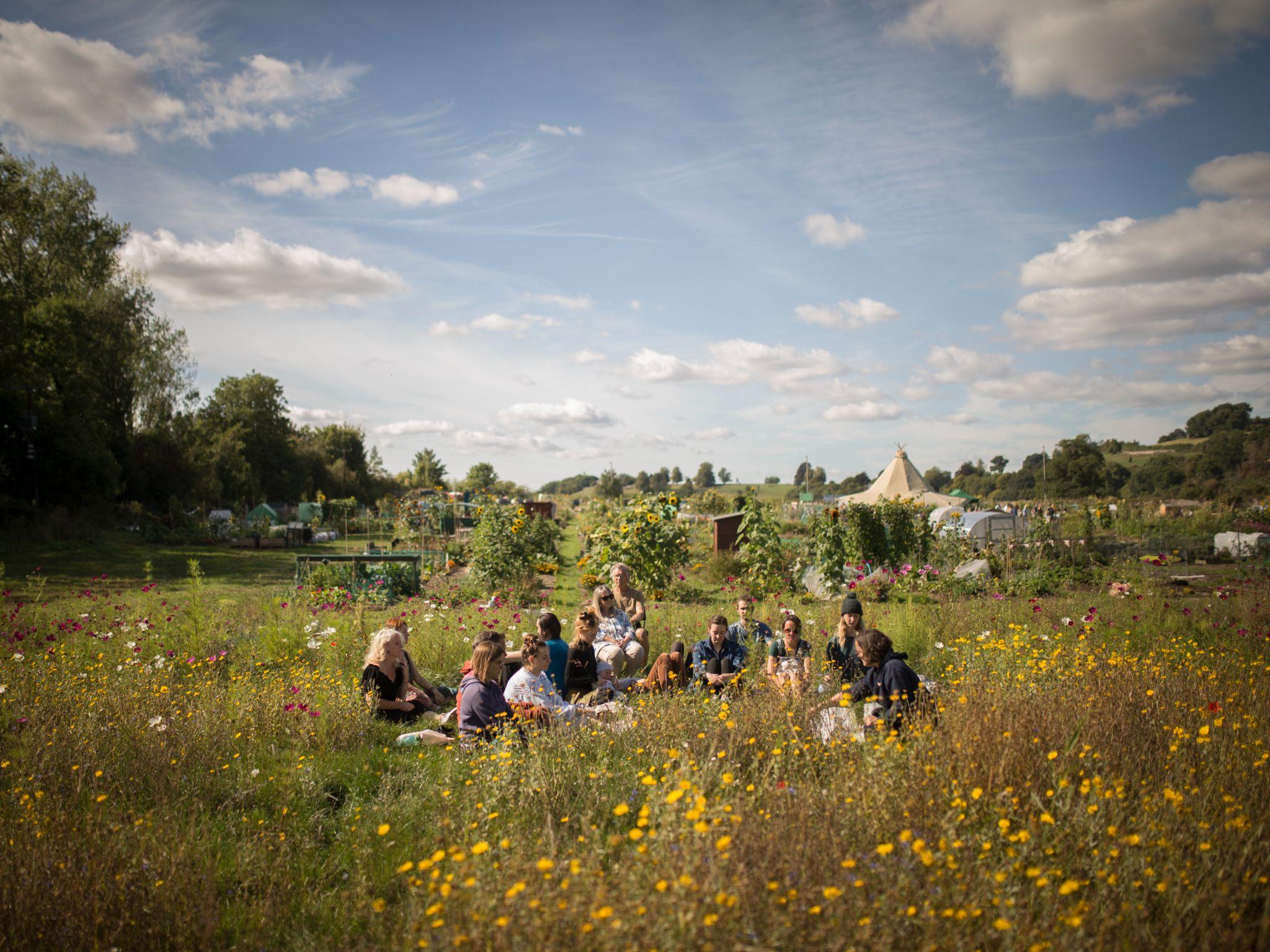 How Community Gardening Transforms Well-Being & Builds Connections