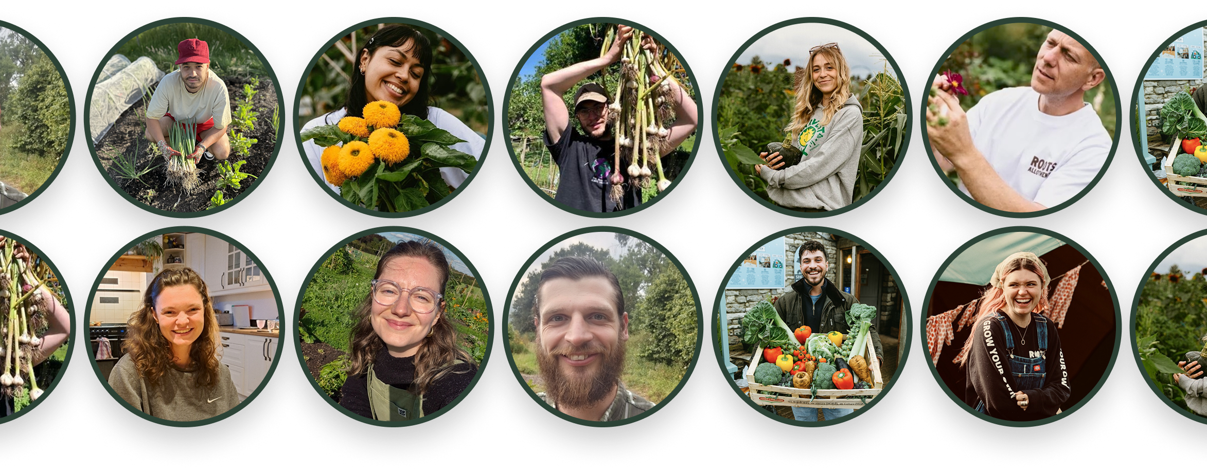 Roots Allotment Background