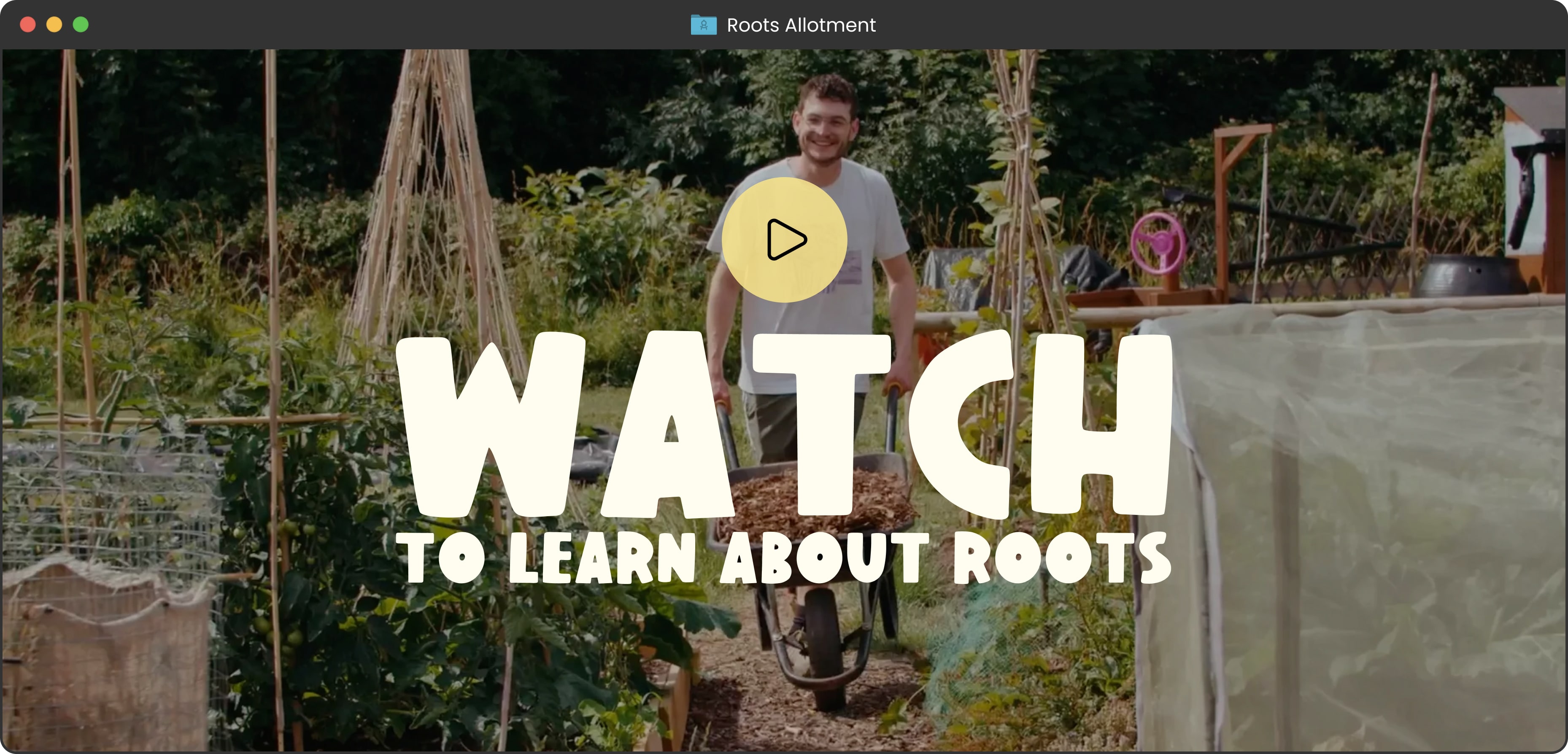 Roots Allotment Background